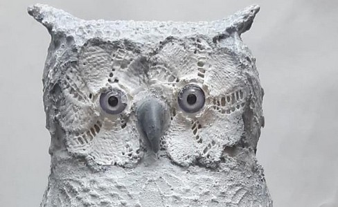 owl01crop